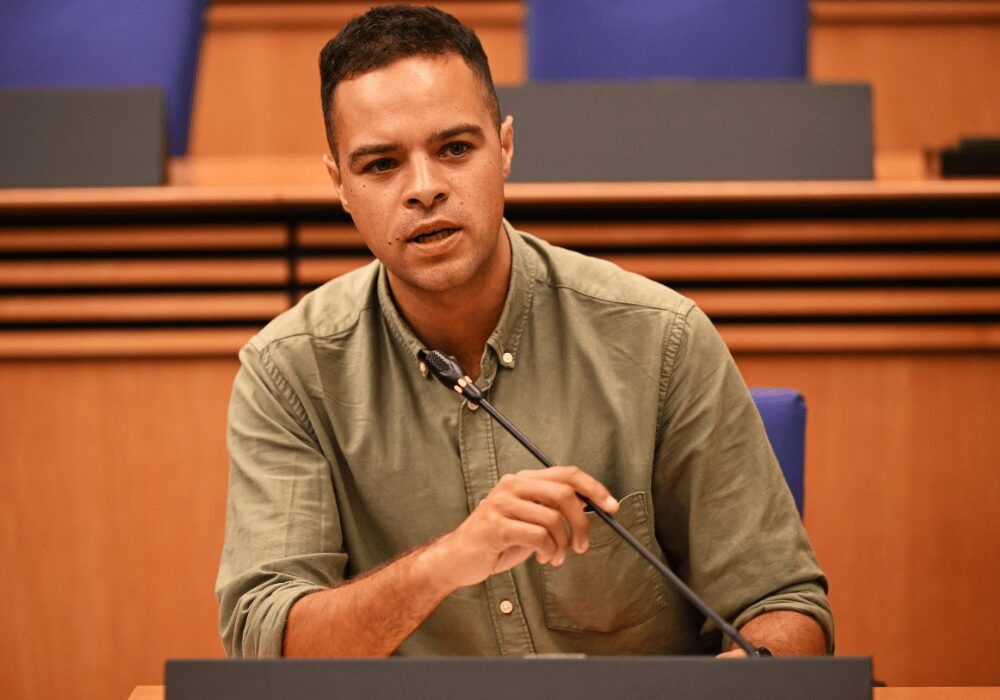 Councillor Alex Lansdowne, Deputy Chairperson of the Section 80 Advisory Committee